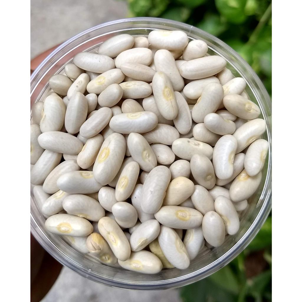 Desi Unpolished Pure white organic beans safed rajma, 1kg