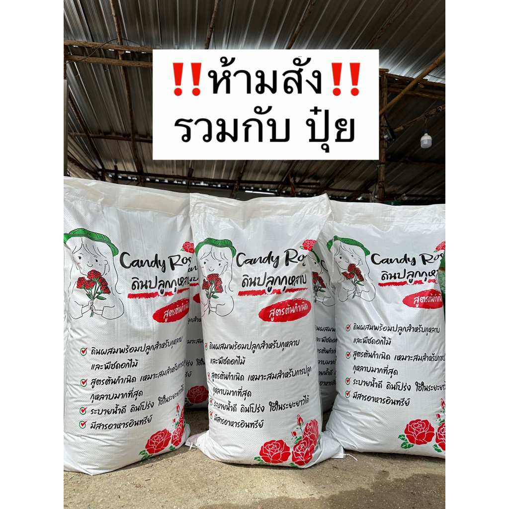 ดินปลูกกุหลาบcandyrose สูตรต้นกำเนิด ดินสูตรที่ใช้งานง่าย