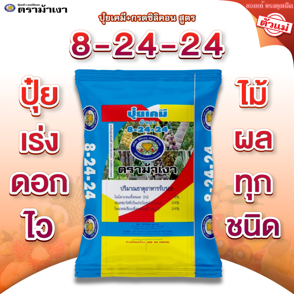 ปุ๋ยเคมี + กรดซิลิคอน สูตร 8-24-24 ตราม้าเงา [ 50 กก. ] เร่งดอก ออกไว พริกไทย ไม้ผล ทุกชนิดใช้ได้ดี