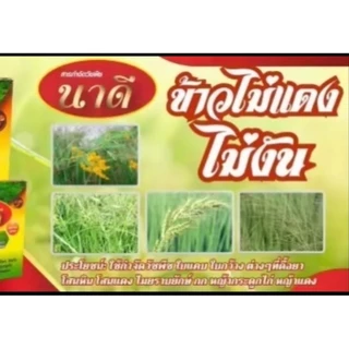 ยาฆ่าหญ้าในนาข้าวสารกำจัดวัชพืชในนาข้าวนาดี