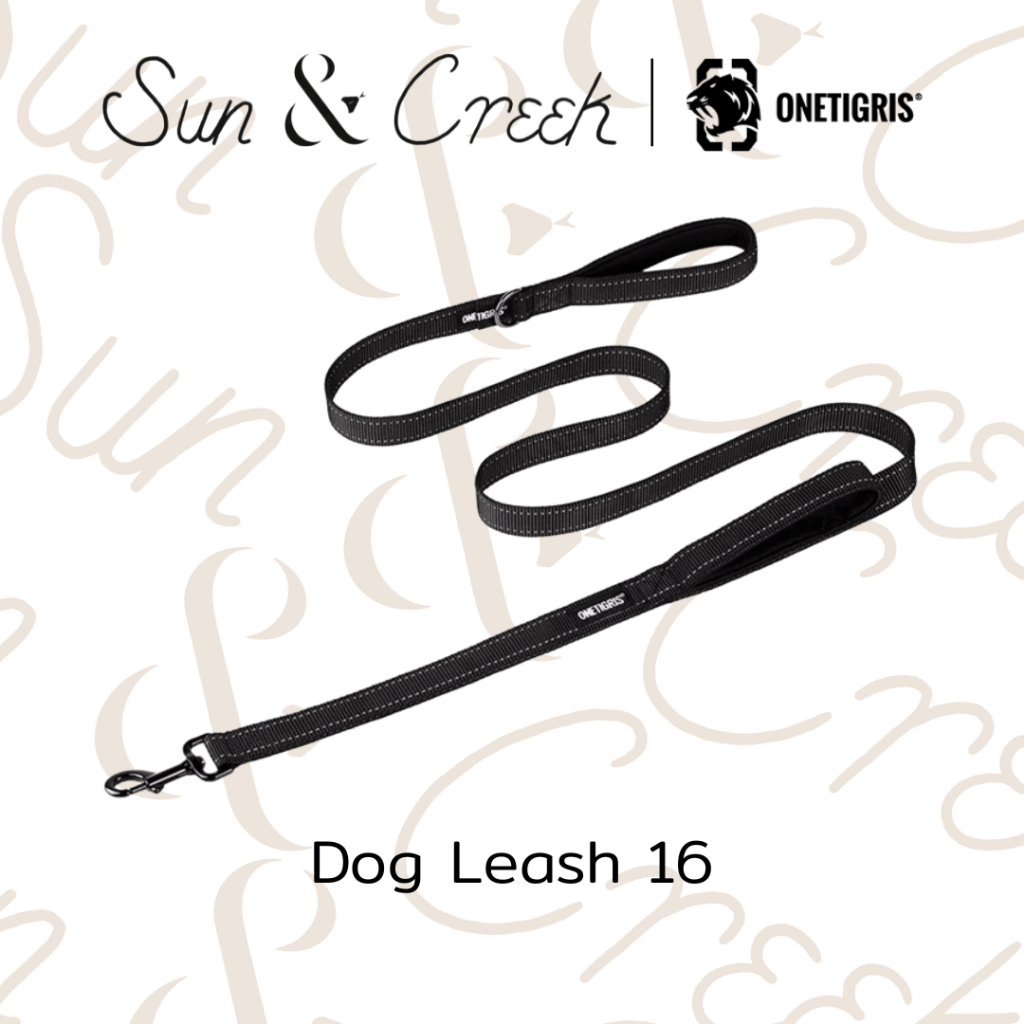 สายจูงสุนัข Dog Leash 16
