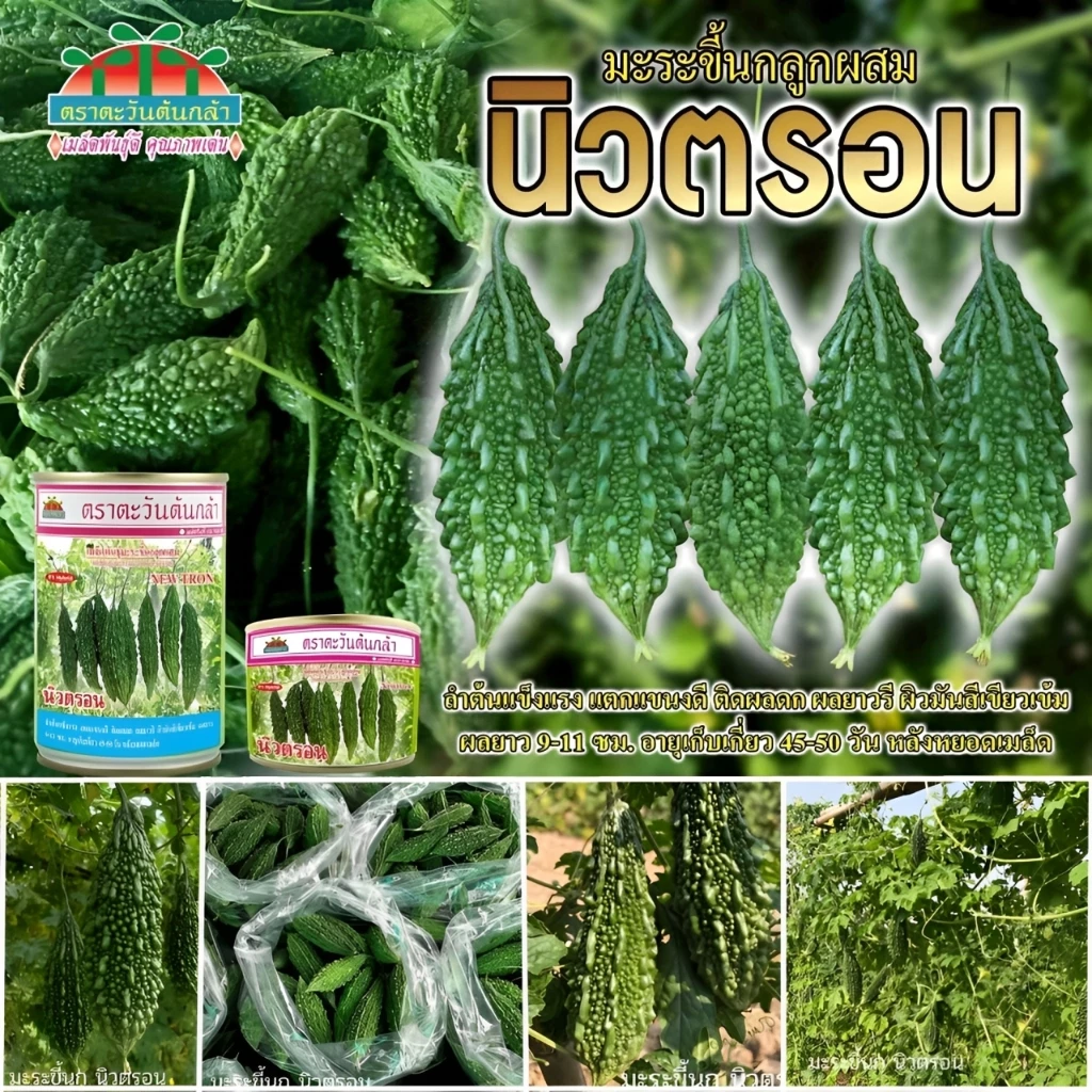 เมล็ดมะระขี้นก นิวตรอน F1 ตราตะวันต้นกล้า ขนาด20และ50กรัม เมล็ดพันธุ์มะระขี้นก เมล็ดพันธุ์ผัก