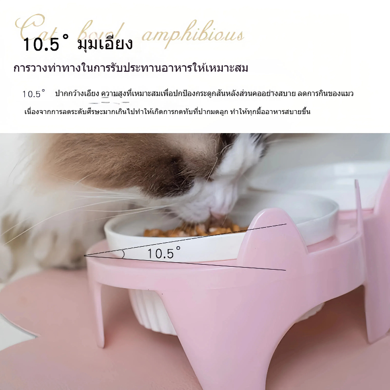 Coco-petชามแมวเซรามิกคู่, ชามน้ำ, ป้องกันกระดูกคอ, ชามอาหารแมว, ชามน้ำ, ชามสัตว์เลี้ยง (ใช้ได้ทั้งแมวและสุนัข) รูปที่ 3