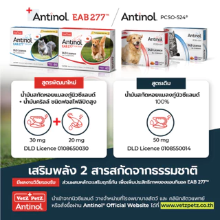 Antinol Dog แอนทินอล อาหารเสริมไขมัน บำรุงข้อ สำหรับสุนัข 5 กล่อง (300 เม็ด) Vetz Petz