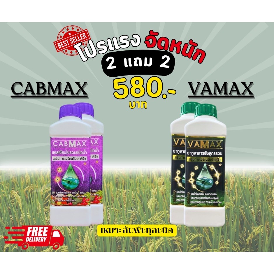 CABMAX แคลเซียมและโบรอนเข้มข้น + VAMAX ธาตุอาหารรวมเข้มข้น
