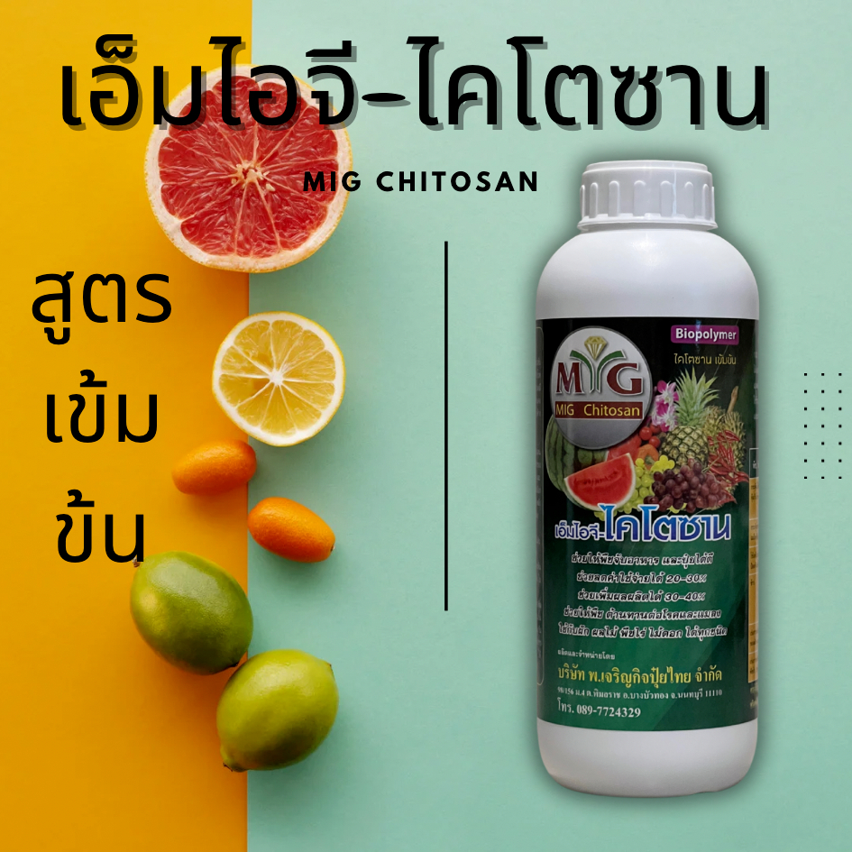 เอ็มไอจี-ไคโตซาน เข้นข้น MIG-Chitosan