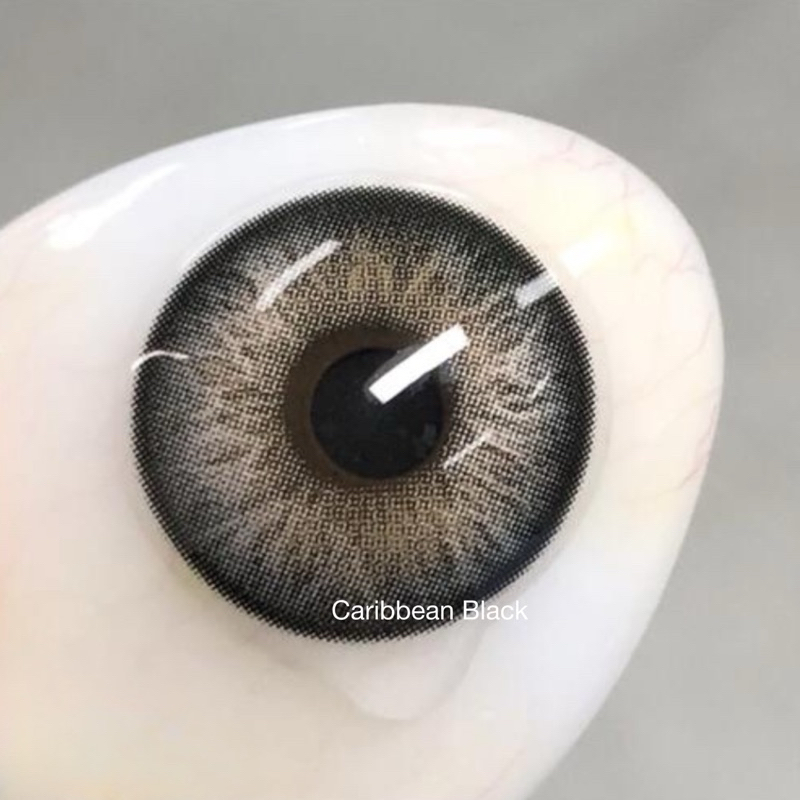 Caribbean Black คอนแทคเลนส์สายฝอ มีค่าสายตา