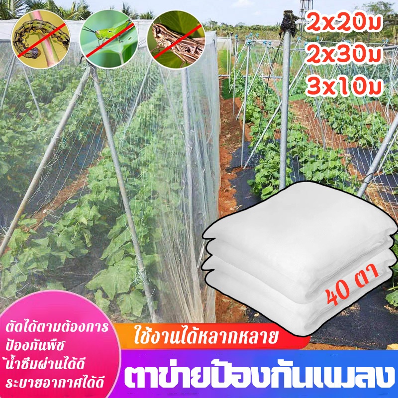 งขาว มุ้งกันแมลง ผัก มุ้งตั๊กแตน มุ้งขาว 40ตา หน้ากว้าง 2-3 เมตร มผักศัตรูพืชควบคุมสวนพืชดูแลร ้
