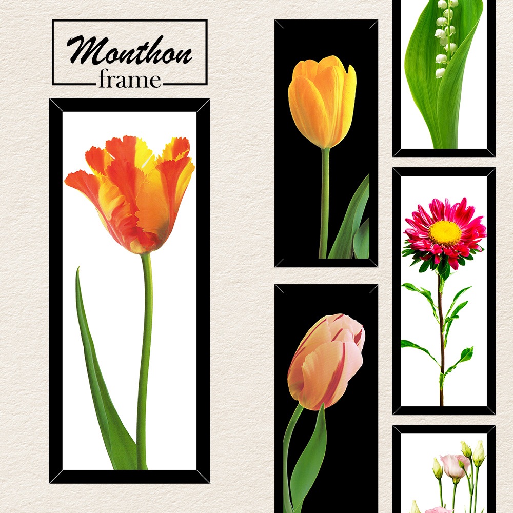 MONTHONFRAME ภาพติดผนังแต่งบ้าน ภาพแต่งห้อง ภาพวาดตกแต่งผนัง ขนาด 6 x 15 นิ้ว. l 15.24 X 38.1 เซนติเ