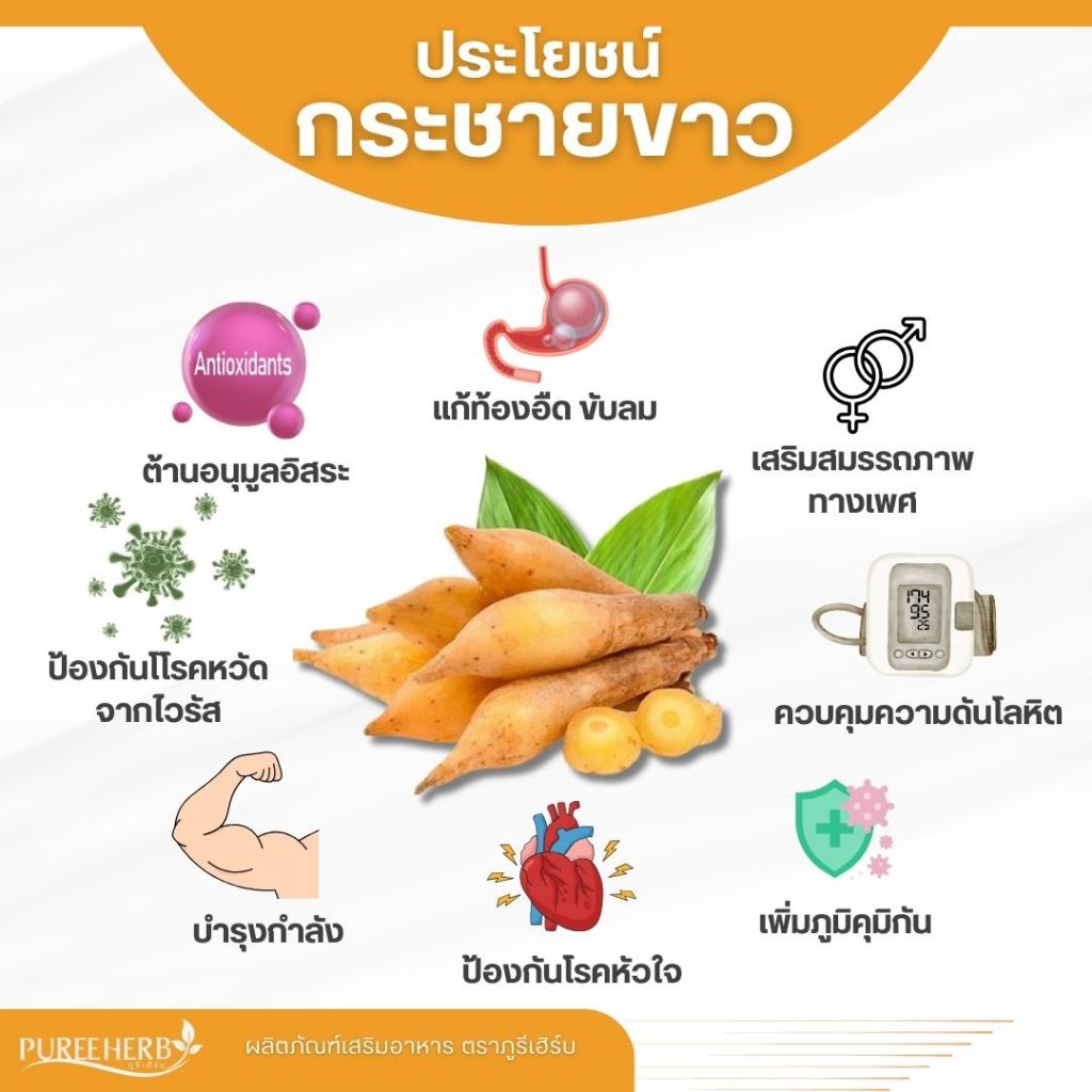 กระชายขาวแคปซูล ตราภูรีเฮิร์บ - เสริมภูมิคุ้มกัน (ร้านเจ้าของแบรนด์) - รูปที่ 2