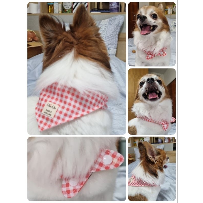 Snap Bandanas ผ้าสามเหลี่ยมพันคอสุนัข รอบคอ 8-25 นิ้ว