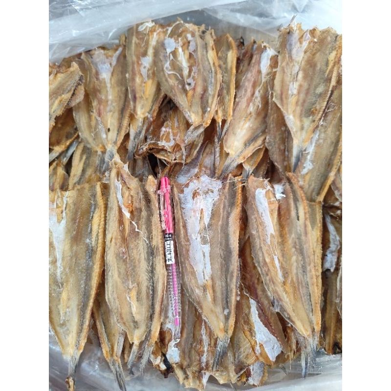 ปลาช่อนทะเลบางกลาง ปลาจิ๊กโก๋ เกรดA ไม่เค็ม 500 กรัม 1000 กรัม
