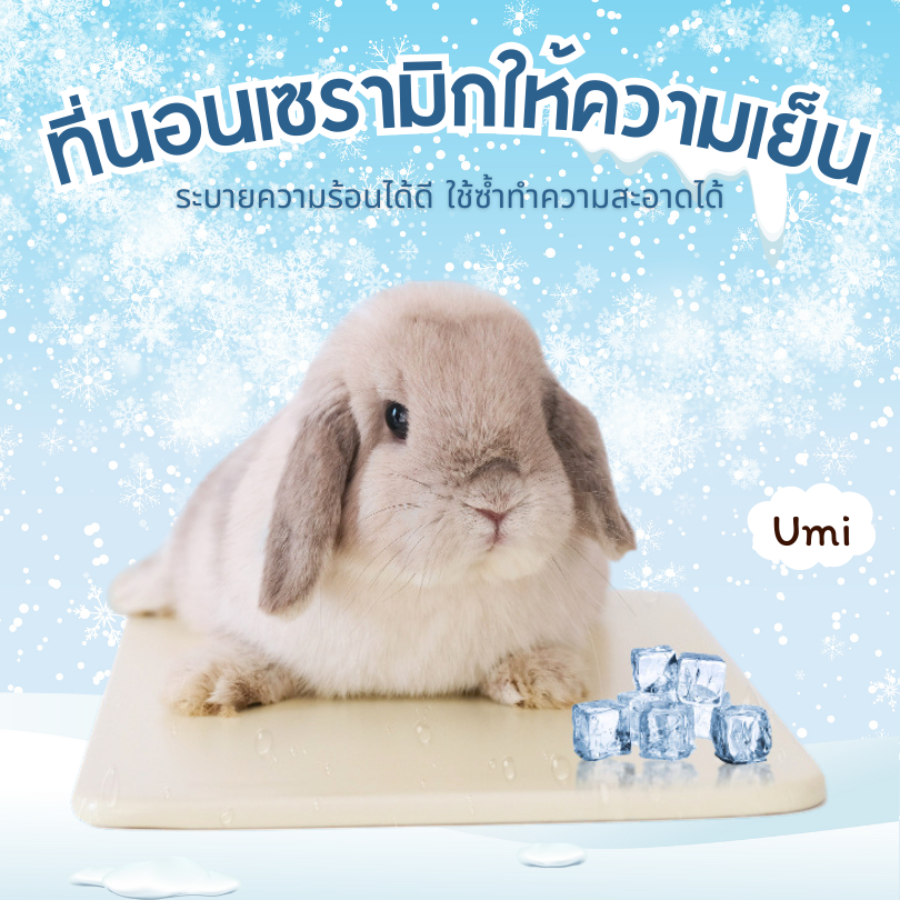 [ส่งไว 1-2 วัน] แผ่นนอนเย็น เซรามิก ระบายความร้อน สําหรับสัตว์เลี้ยง กระต่าย ที่นอนเย็น สำหรับสัตว์เลี้ยง เบาะนอนเย็น