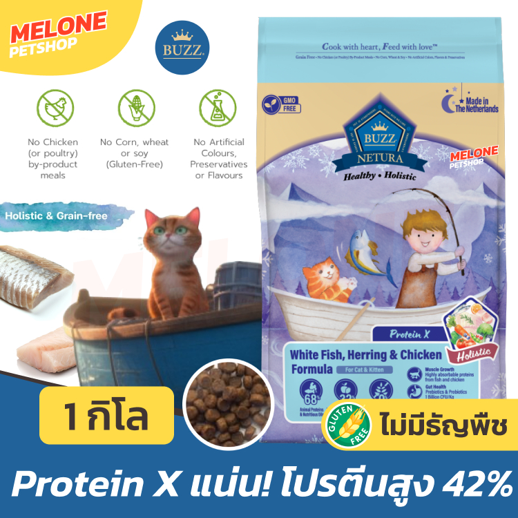 Buzz Netura Protein X อาหารแมว ลูกแมว โฮลิสติก เกรนฟรี โปรตีนสูง ตัวแน่น บำรุงขน ขนาด 1kg