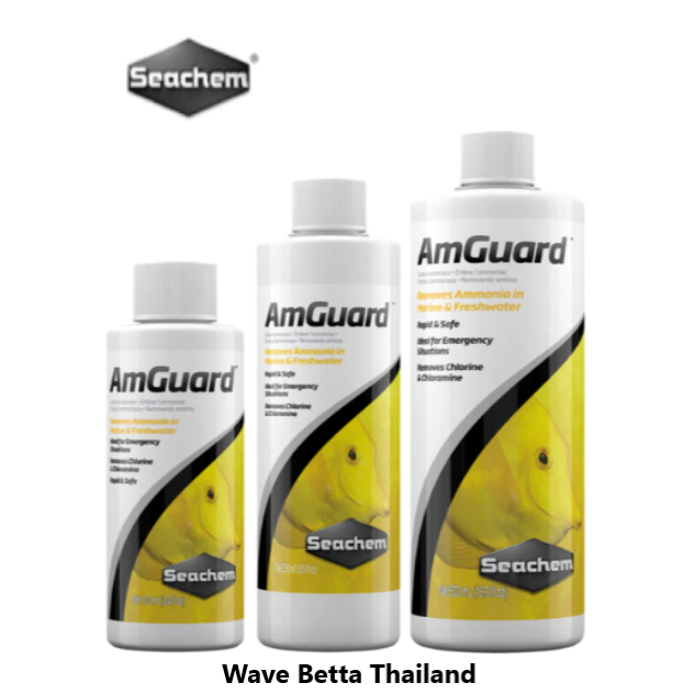 Seachem AmGuard ลดค่าแอมโมเนียแบบเร่งด่วน ภายใน 72 ชม. ลดความเป็นพิษในน้ำ แก้ปัญหากรองล่ม