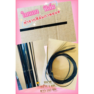 ใบแอกว่าว ใบแอกว่าวฟิล์มหนัง สายแอกฟิล์มภาพยนต์ ใบแอก เส้นเส…