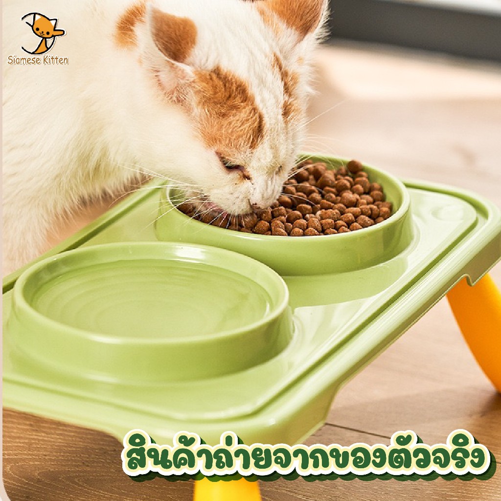 😻ชามอาหารแมว ชามแมวกันมด ชามหมา การออกแบบชามคู่ ใช่ได้ตั้งกินและดื่ม ดสีสดใสน่ารัก😻