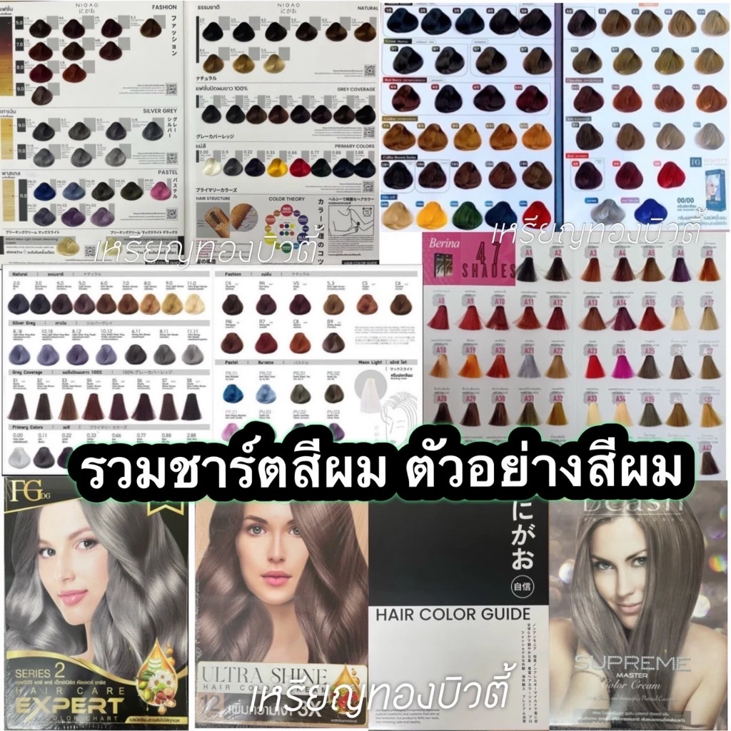ชาร์ตสีผม แผงตัวอย่างผม ชาร์ตเทียบสี นิกาโอะ 1 เล่ม Nigao Hair Color Chart (ไม่ใช่สีย้อมผม)