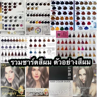ชาร์ตสีผม แผงตัวอย่างผม ชาร์ตเทียบสี นิกาโอะ 1 เล่ม Nigao Hair Color Chart (ไม่ใช่สีย้อมผม)