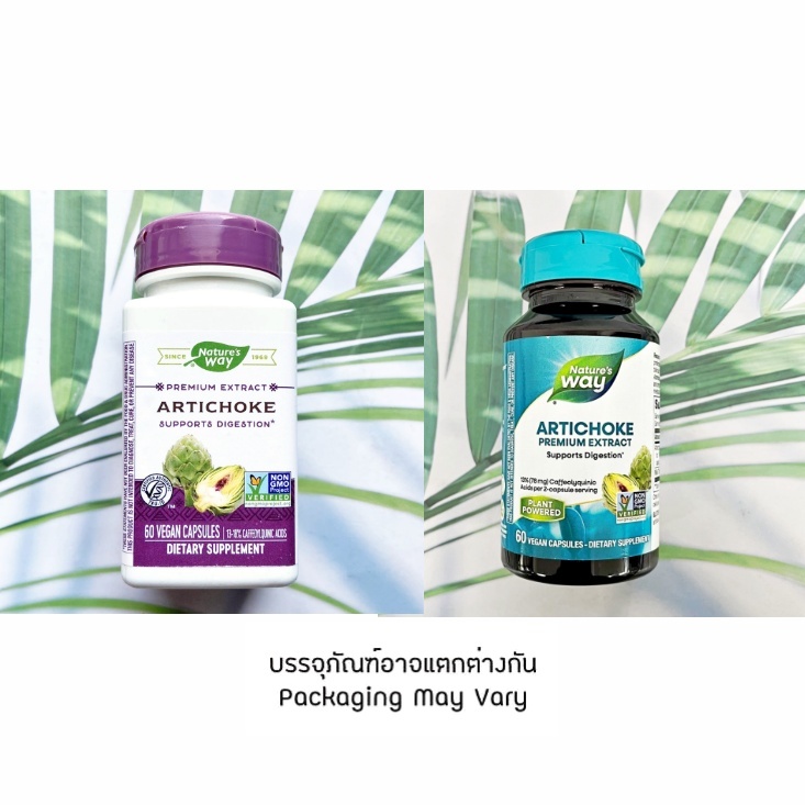 Artichoke + Milk Thistle อาร์ติโชค Standardized 60 Veg แคปซูล (Nature's Way)