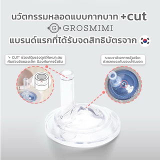 ชุดหลอดหัดดูด Grosmimi Replacement Straw Stage 2 แพ็คคู่ สำหรับขวดนมคอกว้าง ไม่ดูดไม่ไหล (สำหรับเด็กอายุ 12 เดือนขึ้นไป)