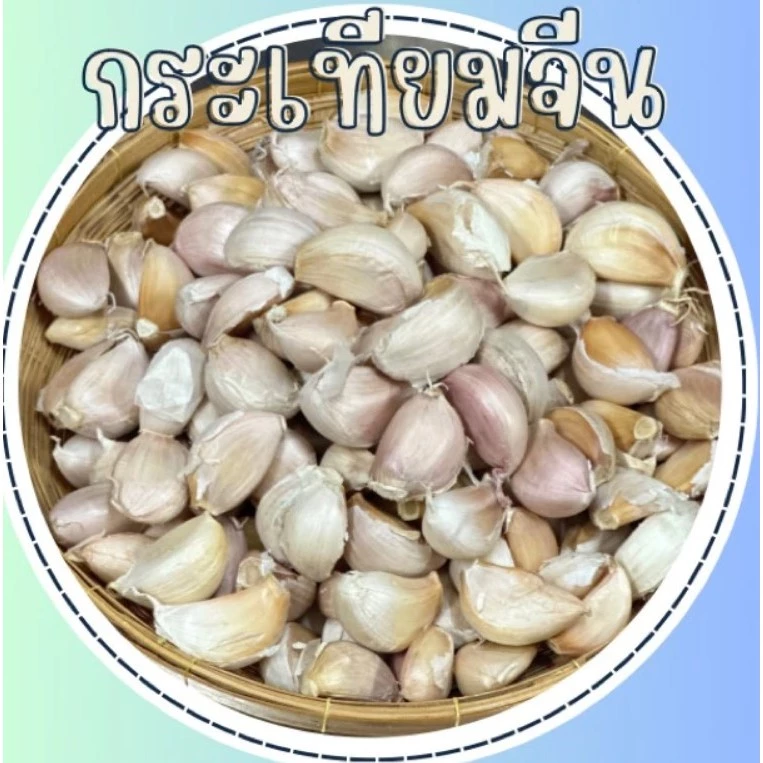 [ส่งฟรี] #1กิโล💥| กระเทียมจีนกลีบใหญ๋ คัดเกรด A มีคุณภาพ เม็ดสวย