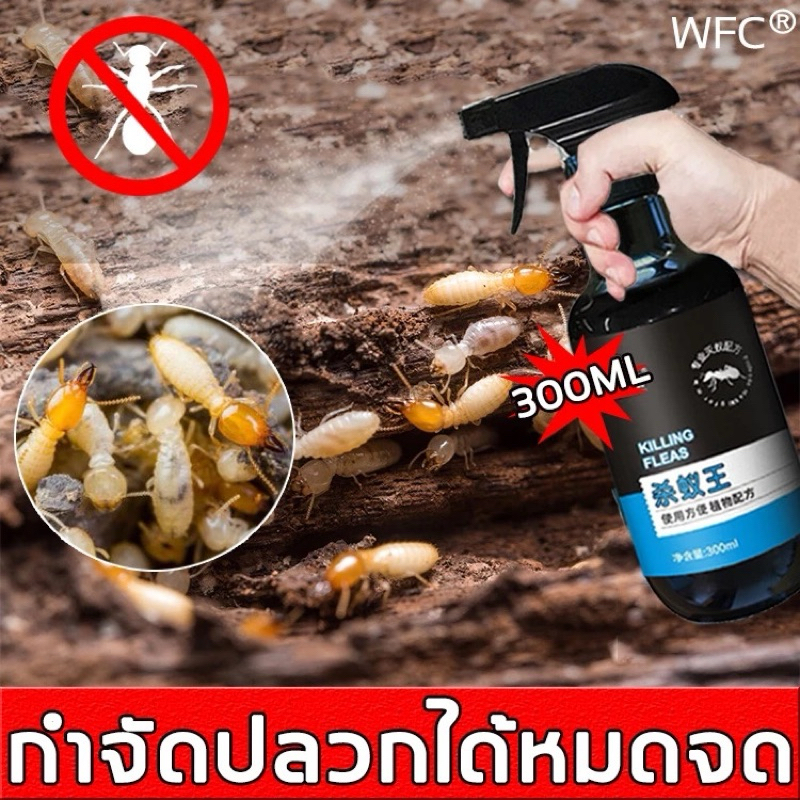 🐜 น้ำยากำจัดปลวก ยาฆ่าปลวก กำจัดปลวกยกรัง กำจัดมดในบ้าน