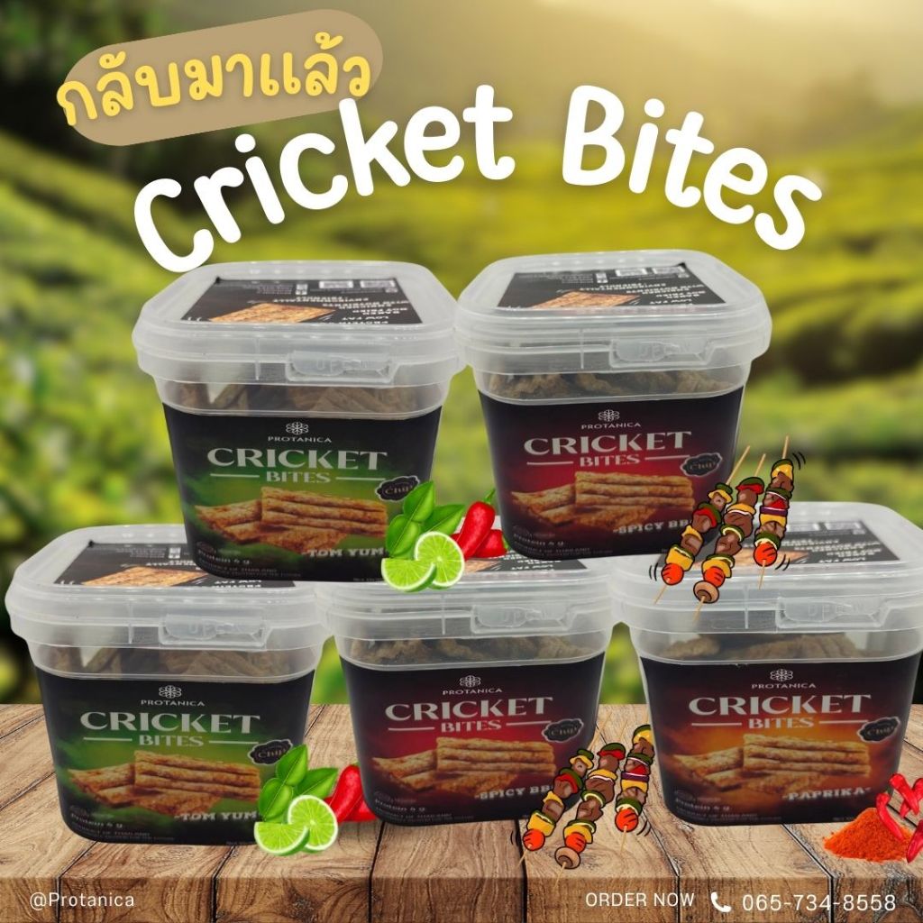 Cricket Bites  ขนมธัญพืชอบกรอบผสมโปรตีนจิ้งหรีด