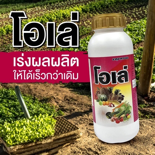โอเล่ บำรุงใบ ต้น ดอก ให้ใบใหญ่เขียวขึ้น แตกยอดดีเป็นธาตุอาหารรอง ชื้อ 2 ขวด แถม 2 ขวด