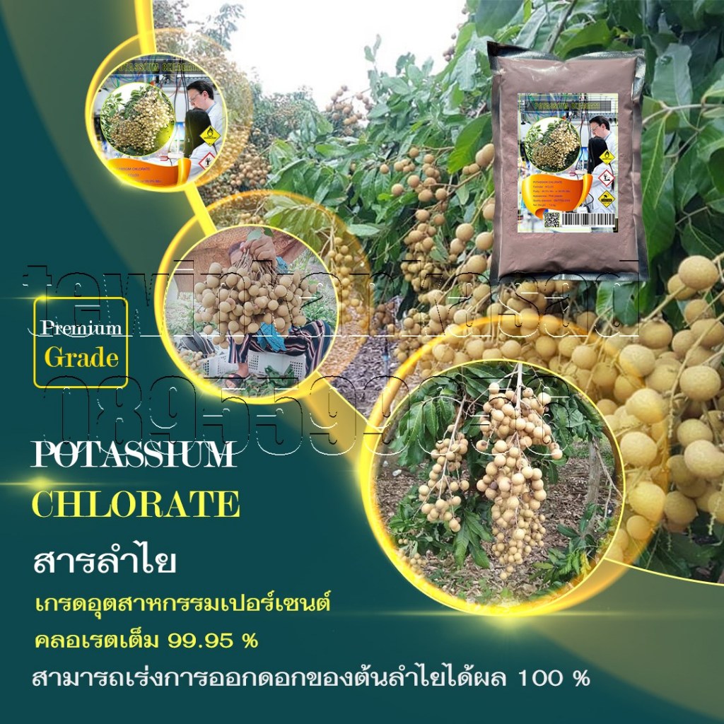 สารราดลำไย สารเร่งดอกลำไย สารพ่นลำไย เนื้อสารสีชมพู ใช้เป็นสารลาดลำไย ทำให้ลำไยออกดอกในฤดูและนอกฤดูได้