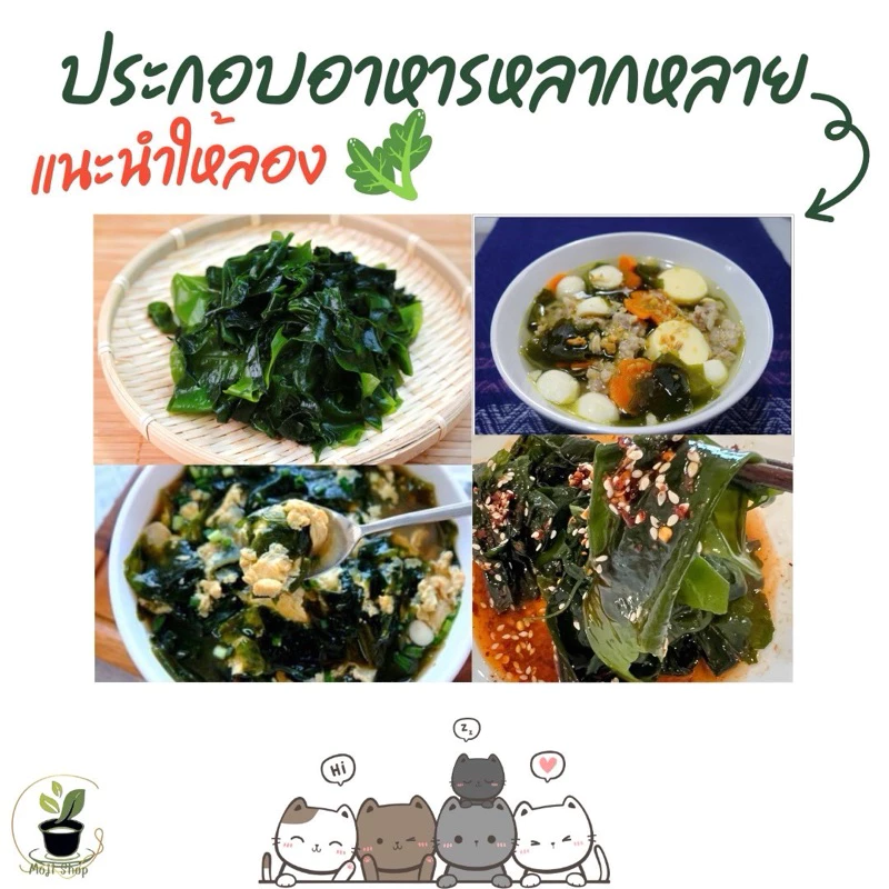 สาหร่ายวากาเมะอบแห้งขนาด250กรัม สาหร่ายทะเล สินค้ามีพร้อมส่ง thumbnail 5