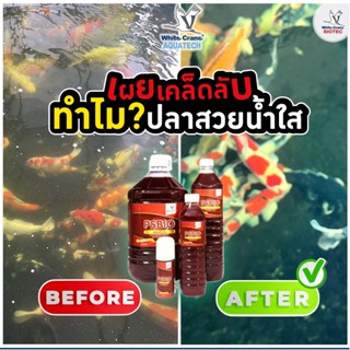 ีPSBIO พีเอสไบโอ จุลินทรีย์กำจัดของเสียหรือเมือกที่สัตว์น้ำ