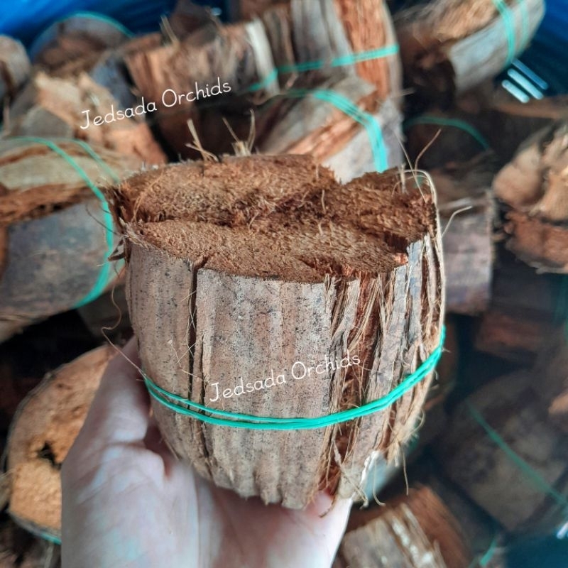 🌴ตุ้มกาบมะพร้าว ตุ้มมะพร้าว(ชุดละ 6 ลูก ส่งฟรี‼️) กาบมะพร้าวชิ้น ลูกตุ้ม ลูกตุ้มมะพร้าว กาบปลูกกล้วยไม้ เครื่องปลูก