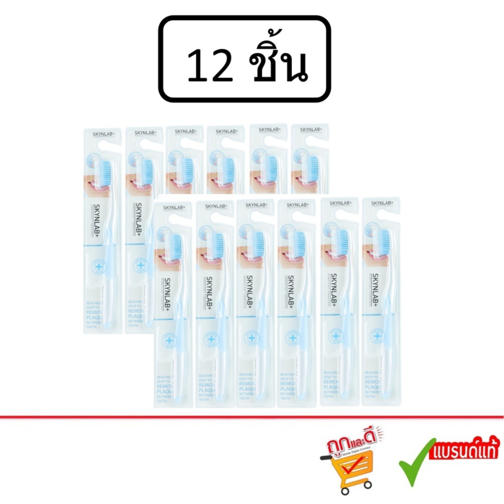 (ยกโหล/12ชิ้น) Skynlab Premium Slim Soft Toothpaste สกินแล็บ พรีเมี่ยม สลิม ซอฟต์ แปรงสีฟัน