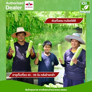 เมล็ดพันธุ์ มะระจีน เขียวหยก 16 ตราศรแดง ขนาด 100 กรัม