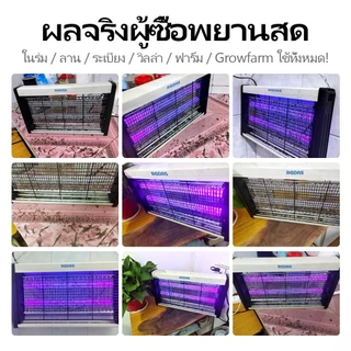โคมไฟกำจัดยุง‌ นักฆ่ายุงไฟฟ้าชนิดใหม่ Pest Killer 2025 ไฟล่อแมลง 360กริดไฟฟ้าองศา ที่ดักยุง