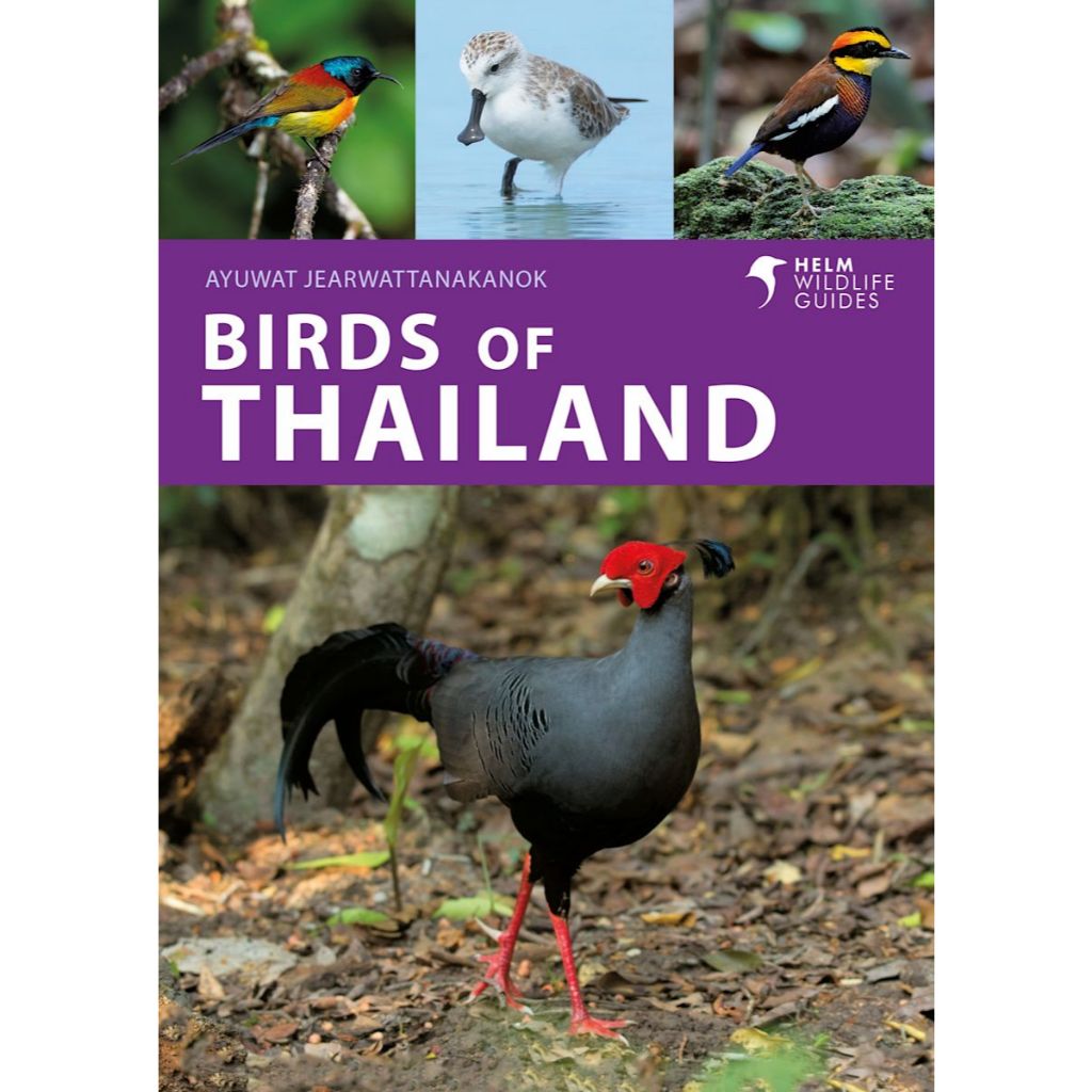 ภาษาอังกฤษ | BIRDS OF THAILAND | AYUWAT JEARWATTANAKANOK | 9781399414715