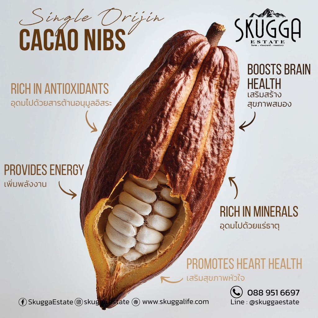 โกโก้นิบส์เคลือบคาราเมล Golden Caramelised Cacao Nibs 100g. - รูปที่ 2