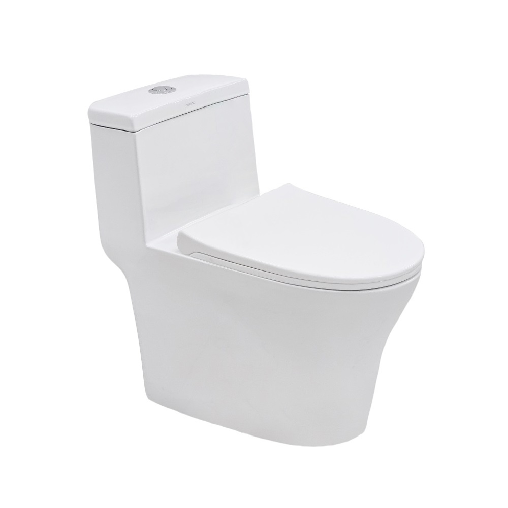 NASCO สุขภัณฑ์แบบชิ้นเดียว รุ่น ดาวกระจาย NC-8609S : DAOKRACHAI