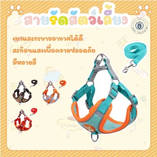 💎ของแมว สุนัข สายจูงสะท้อนแสงสำหรับสัตว์เลี้ยงกลางแจ้ง สุนัขและแมวสามารถใช้ได้💎