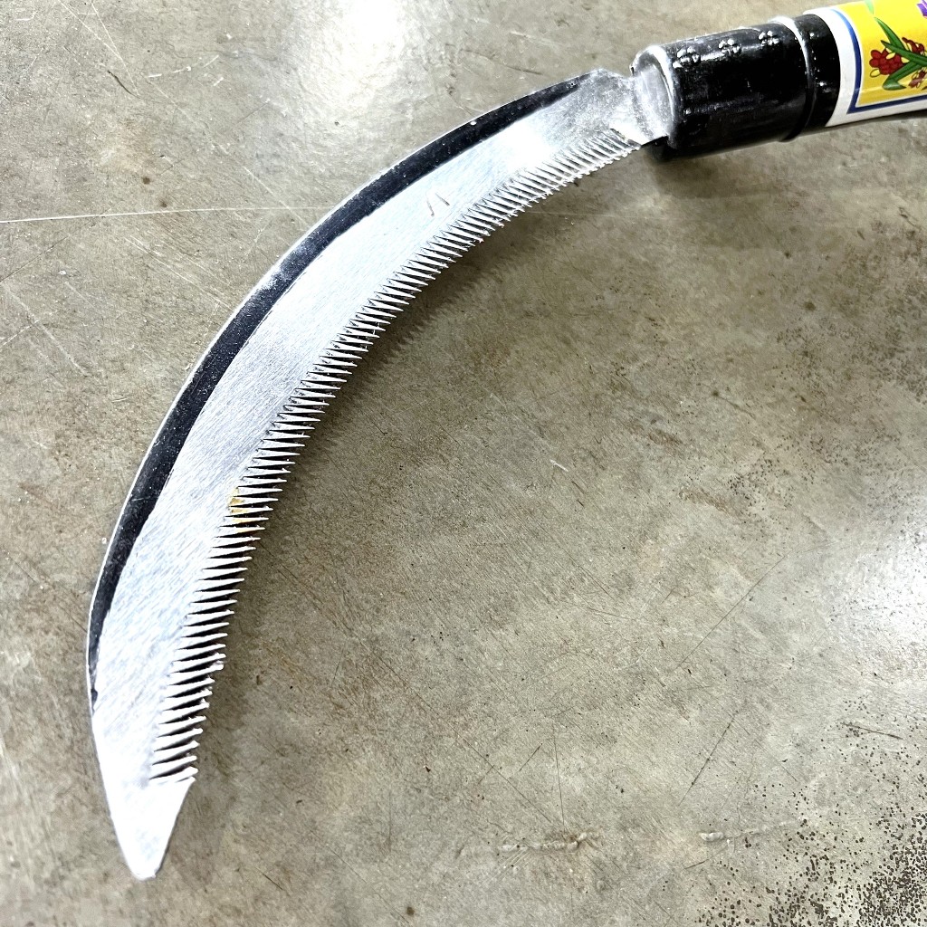 เกี่ยวจีน เคียวจีน เคียวเกี่ยวหญ้า / เคียวเกี่ยวข้าว ขนาดเล็ก เคียวด้ามจับพลาสติก ใบเหล็กฟันหยัก ราคาถูก - รูปที่ 2