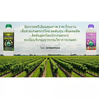 ปุ๋ยแคลเซียมโบรอนเข้มข้น CABMAX 1 แถม 1 นวัตกรรมคีเลต ผลดกโต ติดง่าย ลดการหลุดร่วงขั้วเหนียว C2