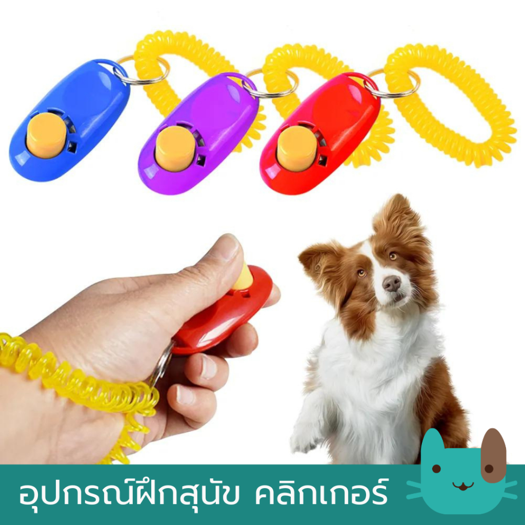 ฝึกสุนัข คลิกเกอร์ อุปกรณ์ฝึกสุนัข Pet Training Clicker Clicker dog