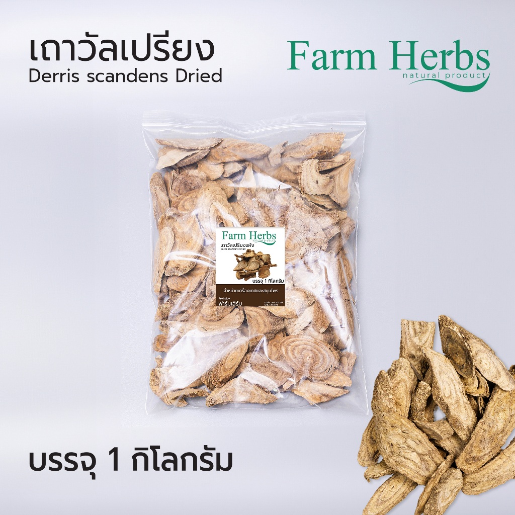 เถาวัลย์เปรียงแห้ง Dried Jewel vine ตราฟาร์มเฮิร์บ ขนาด 1 กิโลกรัม (FHR0127018)
