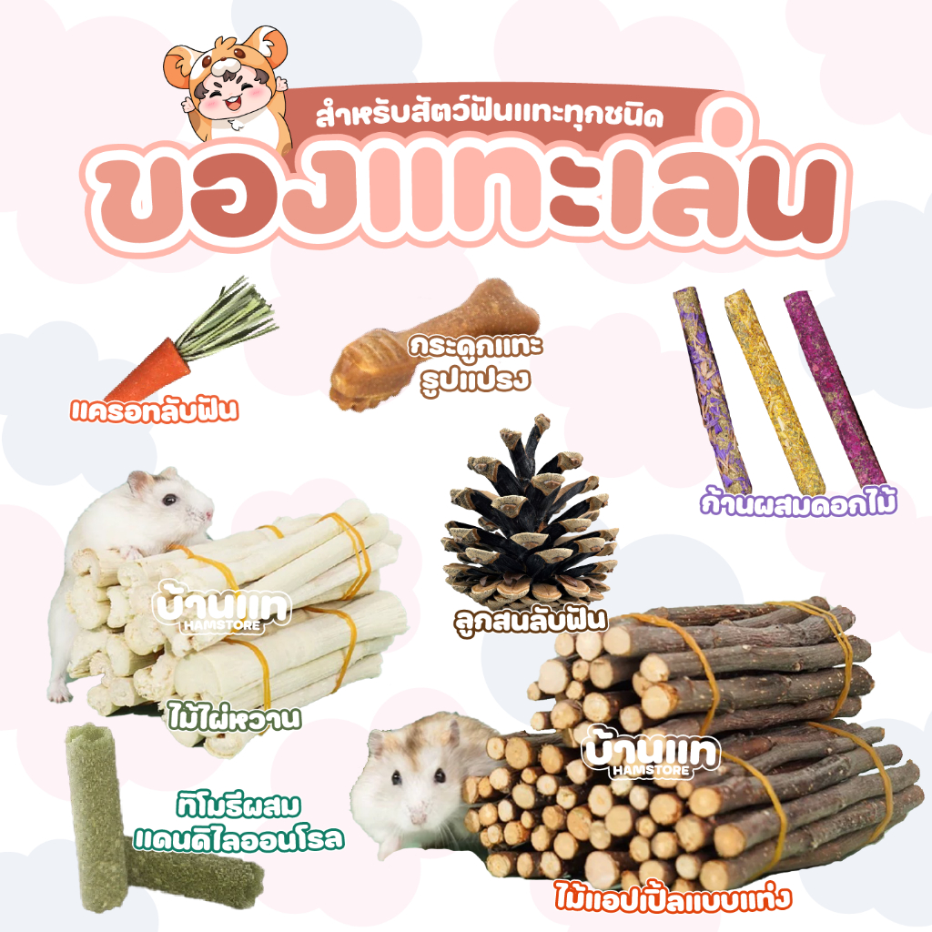 [ลดการกัดกรง] ของเล่น/ของกินสำหรับลับฟัน ของเล่นติดกรง เพื่อสุขภาพฟันที่ดีของแฮมสเตอร์และสัตว์ฟันแทะทุกชนิด