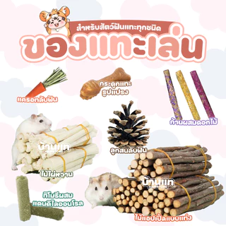 [ลดการกัดกรง] ของเล่นสำหรับลับฟัน ของเล่นติดกรง เพื่อสุขภาพฟันที่ดีของแฮมสเตอร์และสัตว์ฟันแทะทุกชนิด