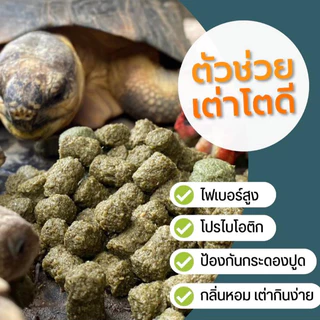 "มีราคาส่ง" ล็อตใหม่ Pro-Reptile สูตร Basic 1 กิโลกรัม เม็ดใหญ่ แบบประหยัด ถุงใส พร้อมส่ง มีของแถมทุกออเดอร์ [LT28]