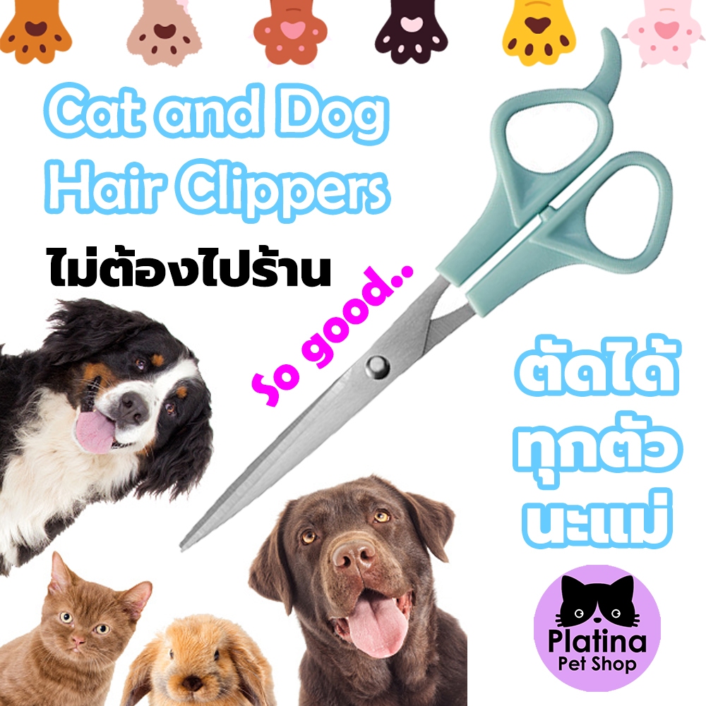 กรรไกรตัดขนแมวและสุนัข กรรไกรกรูมมิ่งสำหรับสัตว์เลี้ยง ตัดตรงให้ขนเรียงเส้นสวย สม่ำเสมอ - รูปที่ 4