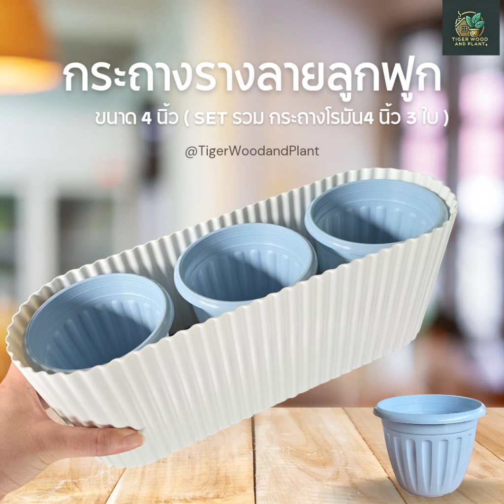 Bundle Set กระถางรางลูกฟูก 4นิ้ว 1 ใบ + กระถางโรมันขนาด 4นิ้ว 3 ใบ