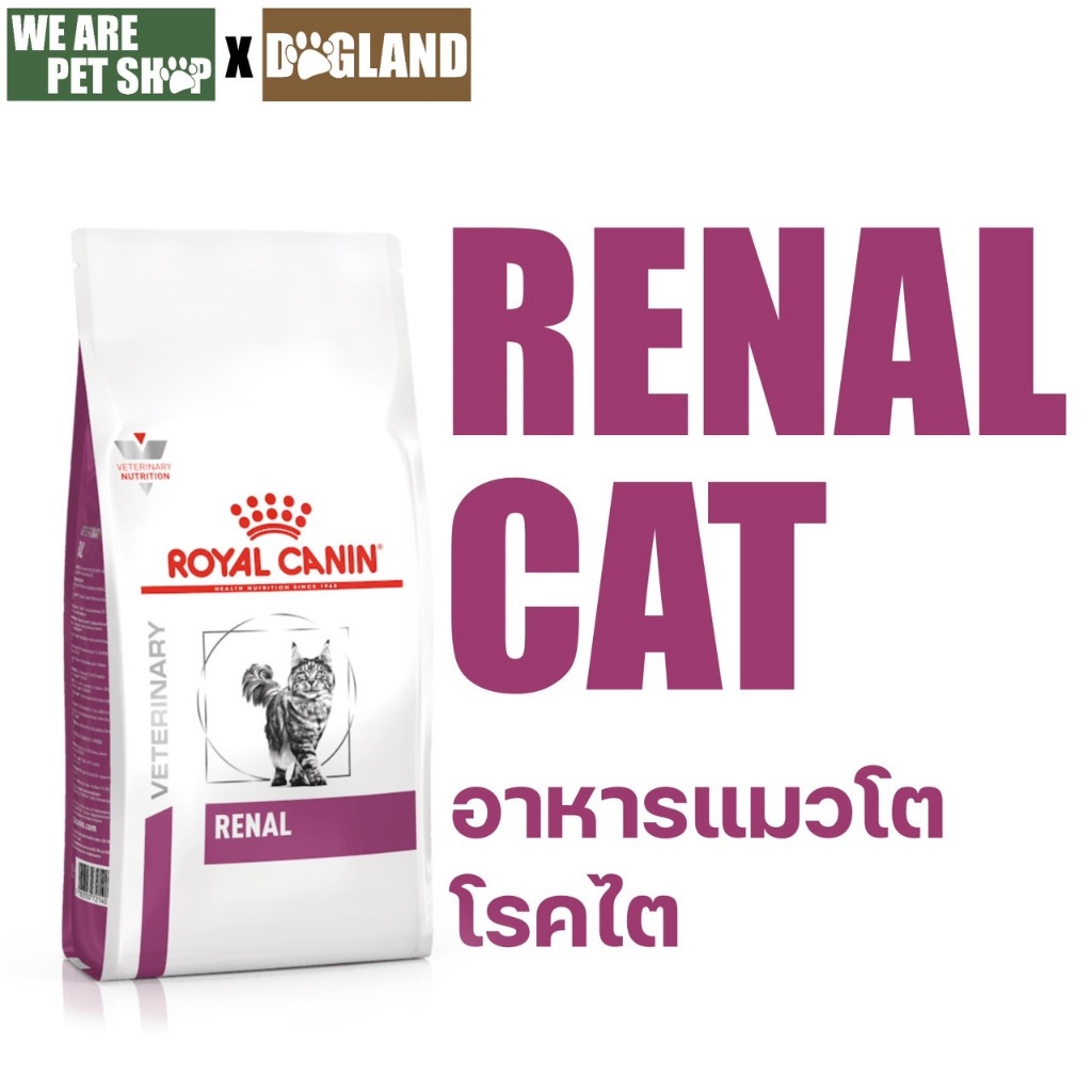 Royal Canin Vet Cat โรคไต  RENAL